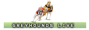Watch Greyhound Racing
